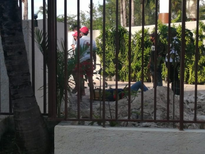 cayó de hotel Aunque el hotel intentó ocultar este accidente con total hermetismo e su parte, testigos afirmaron que un sujeto se cayó del un cuarto piso del Reef Coco Beach, ubicado en Playa del Carmen.