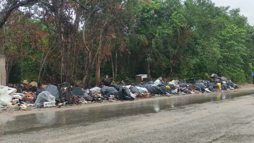 GALERÍA InHouse genera tiradero clandestino en Playa del Carmen