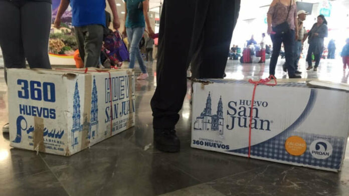 ADO prohíbe usar cajas de huevo como equipaje - Quinta Fuerza