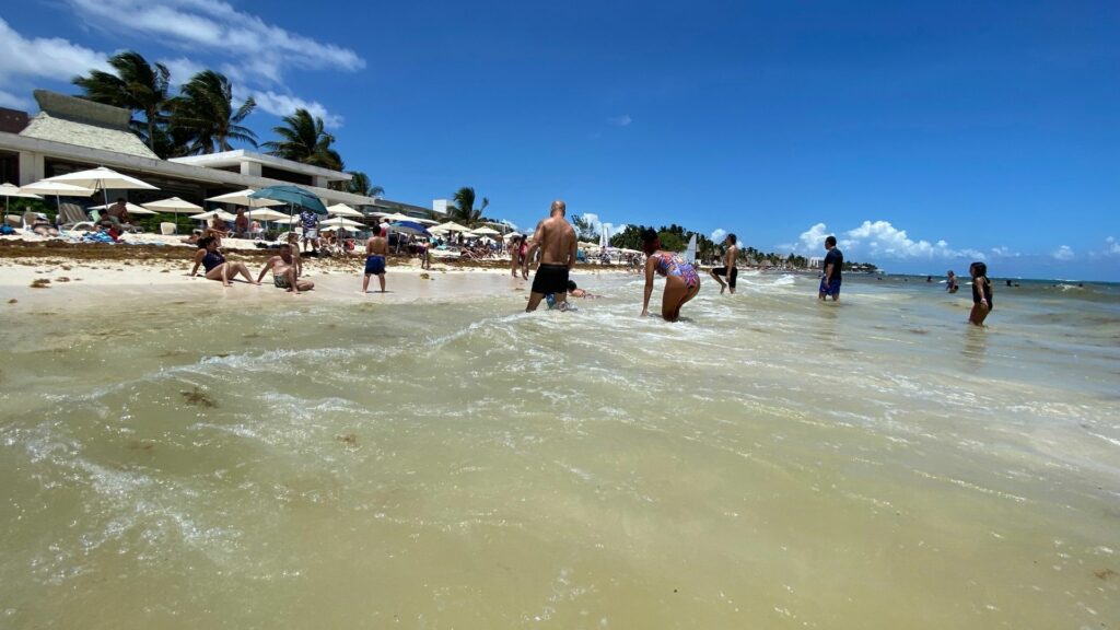 Turistas visitan Playa del Carmen; no les importa el sargazo y juegan con él