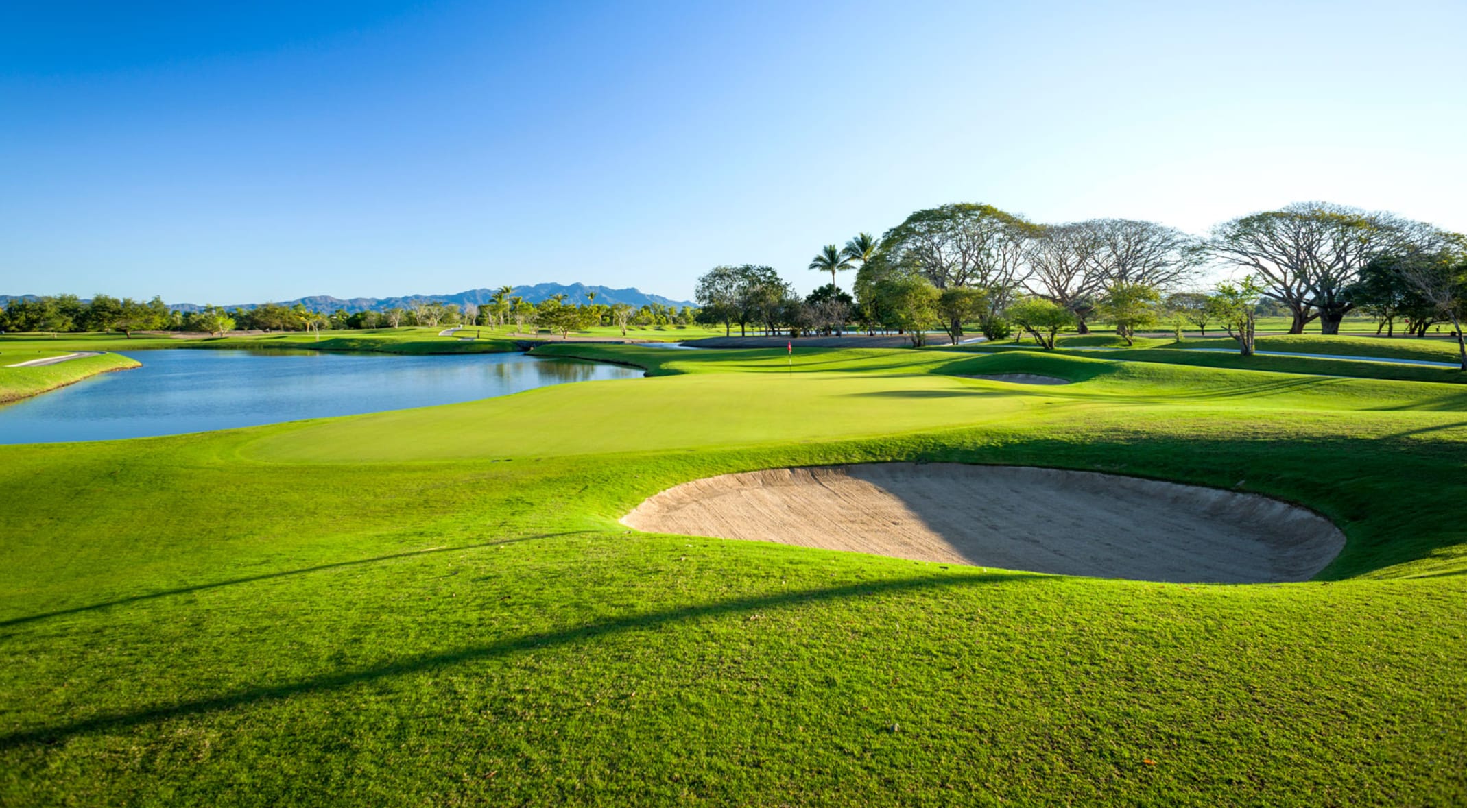 Expogolf México y la PGA México, juntos en beneficio del golf para