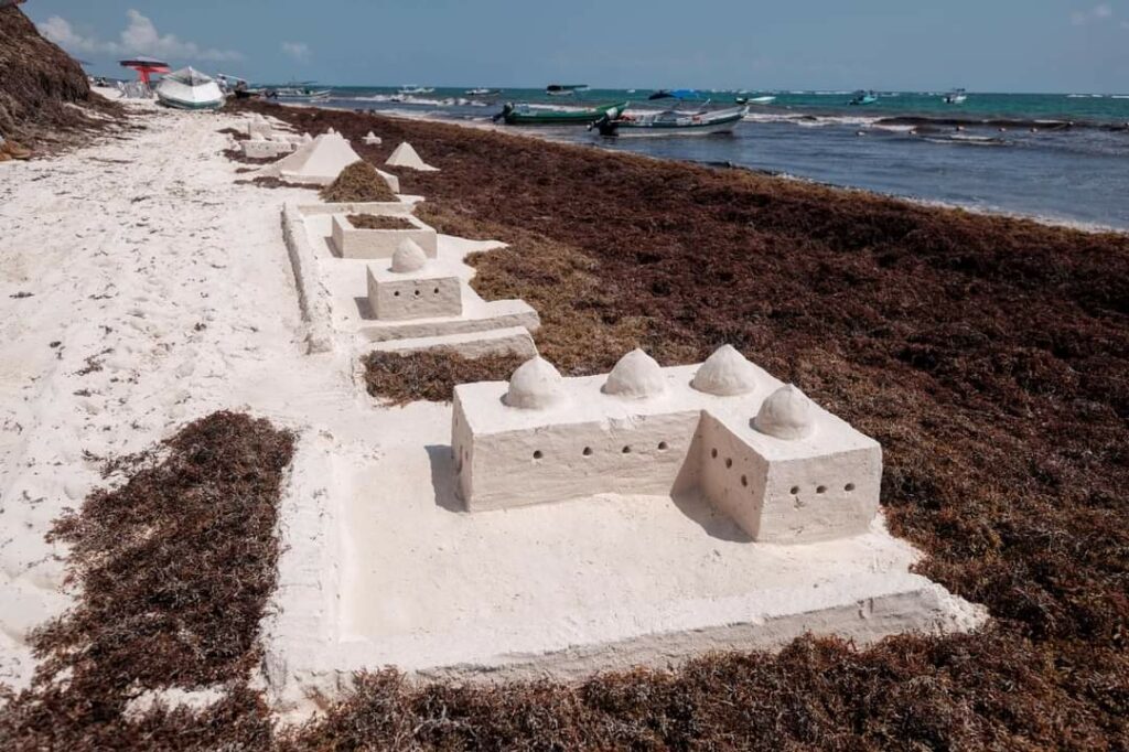 Hallan misteriosa ciudadela maya entre el sargazo de Tulum