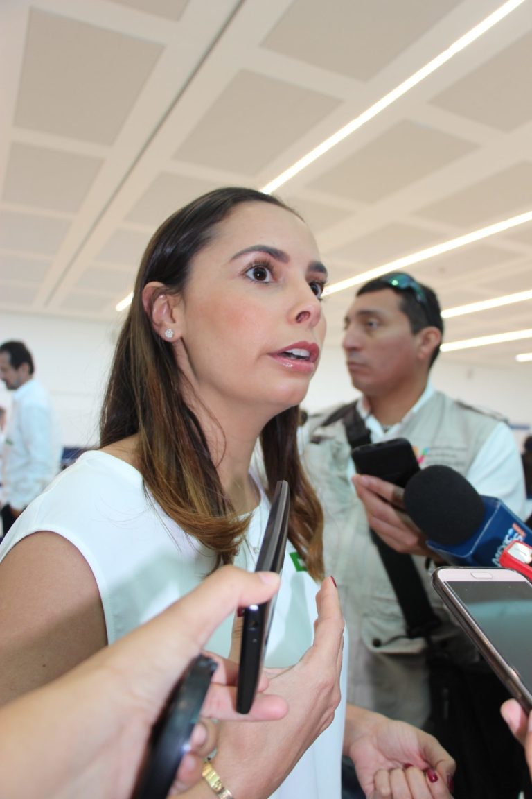Acusa Ana Patricia Peralta De la Peña ‘bloqueo’ en la XV Legislatura