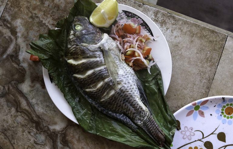 Preparan Encuentro de Gastronomía de las Américas Cancún-Riviera Maya