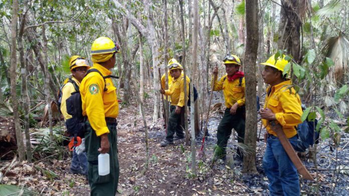 temporada de incendios