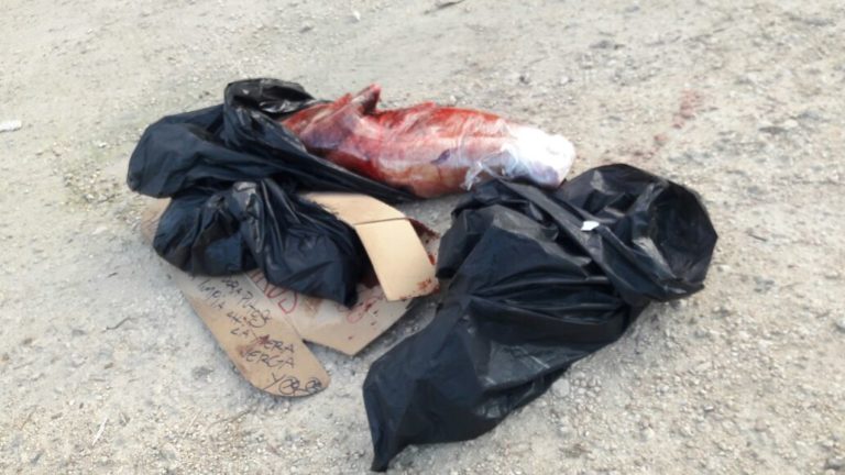 descuartizado 30112017