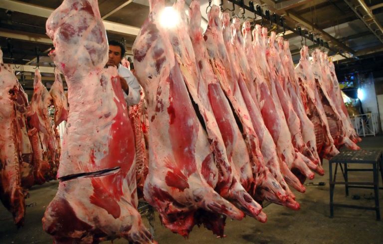  Da Cabildo de BJ primer paso para concesionar rastro