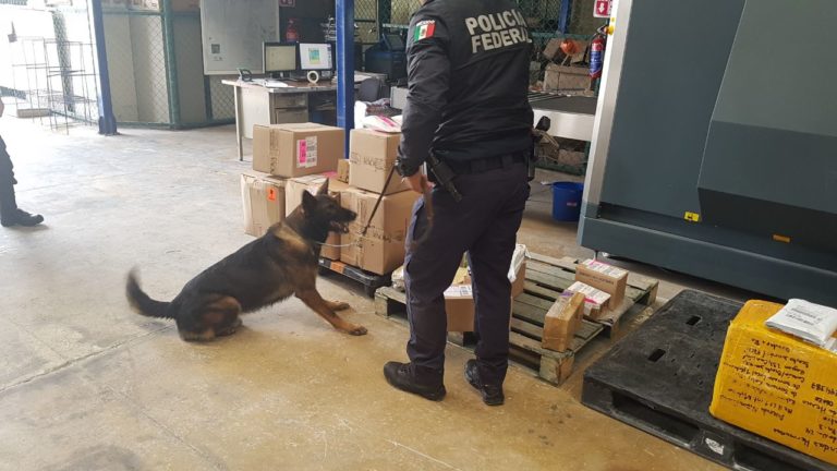 guaymas de playa del carmen