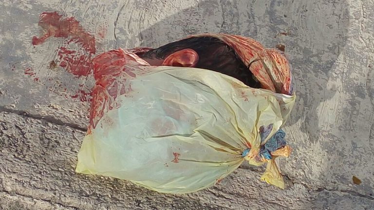 Cancún.- Una cabeza humana fue hallada esta mañana en la Supermanzana 233 de Cancún, la cual se encontraba dentro de una bolsa.