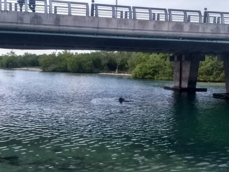 Realiza sujeto el último clavado de su vida