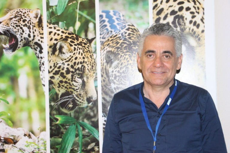 Hay progreso en la preservación del jaguar: Dr. Gerardo Ceballos