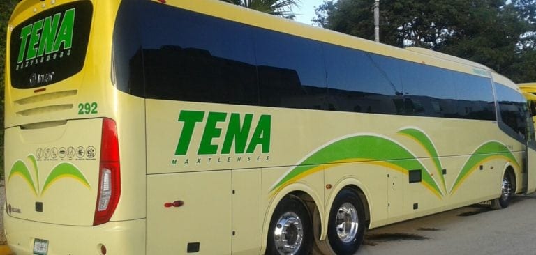 Remberto Estrada molesto porque no operarán los autobuses de su mamá