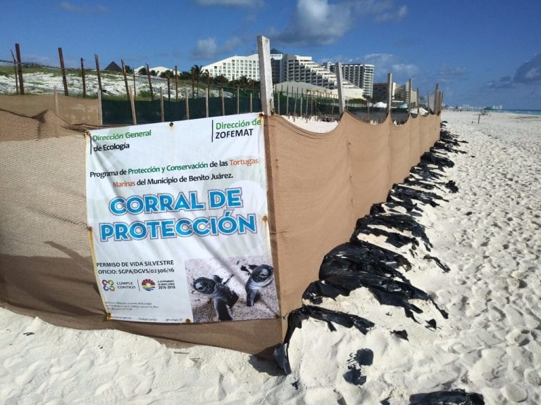 Procederán penalmente contra quienes autorizaron Gran Solaris