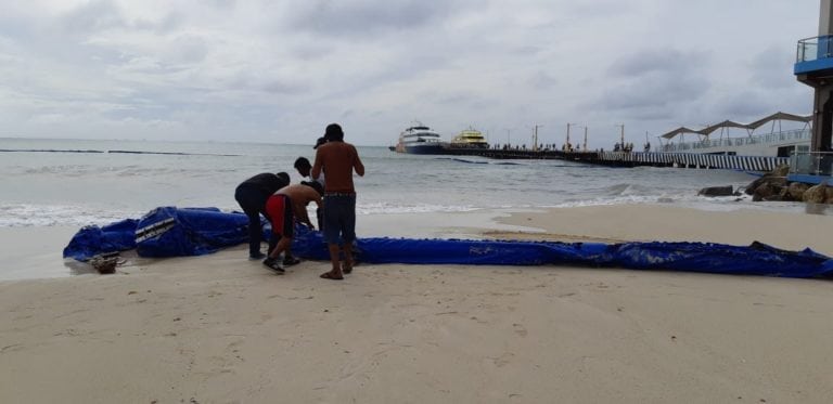 Defienden las barreras antisargazo