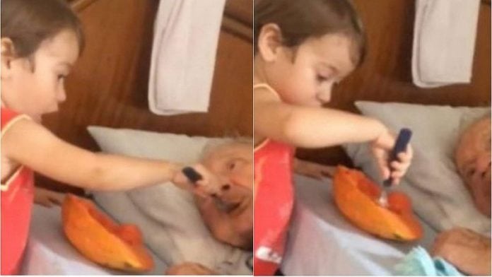 niño alimenta a su abuelito