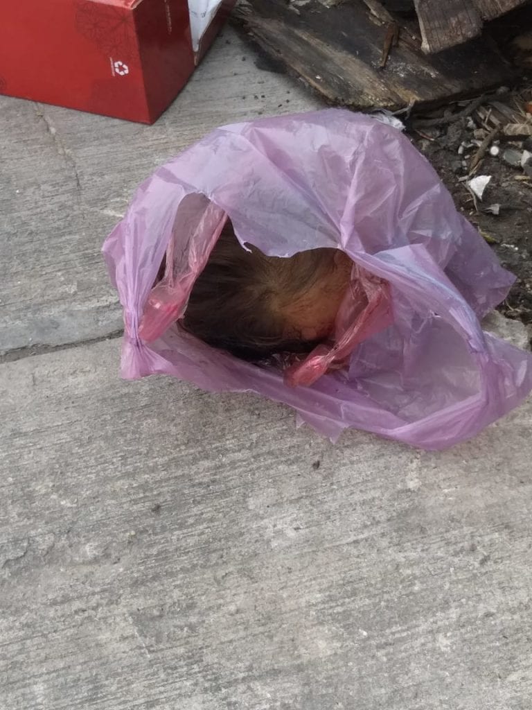 Hallan cabeza de mujer en Benito Juárez