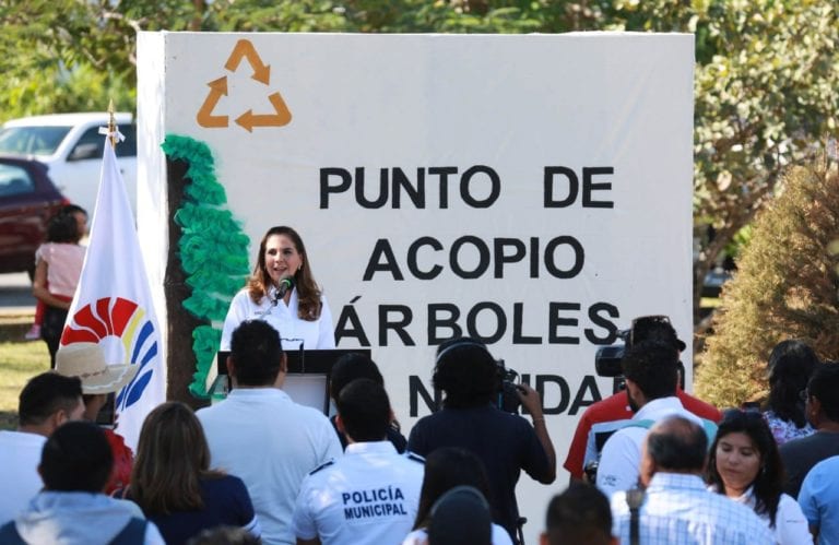 Instala Mara Lezama 26 centros de acopio para árboles de Navidad