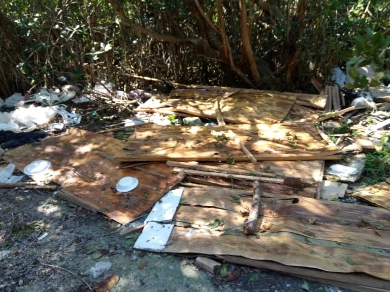 Denuncian activistas ecocidio en la zona del Arco Norte