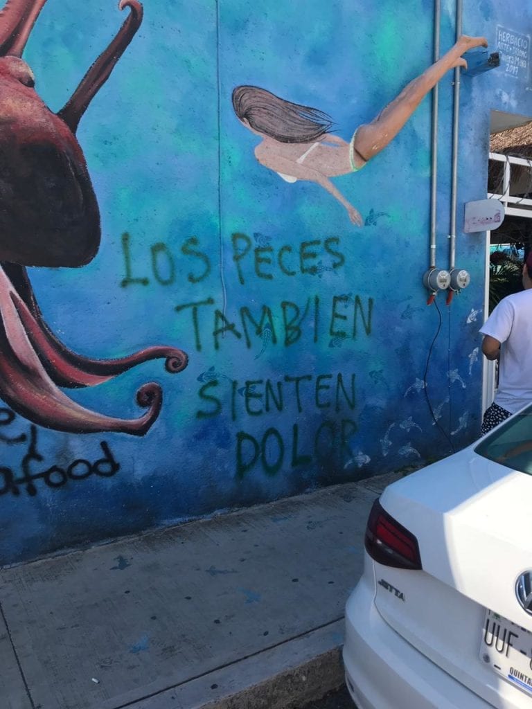 Rayan sobre mural de restaurante en Playa del Carmen con mensaje animalista Rayan sobre mural de restaurante en Playa del Carmen con mensaje animalista