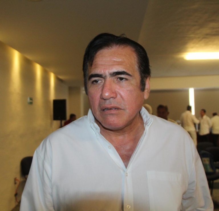 Confía Morena construir mayoría calificada a través de alianzas