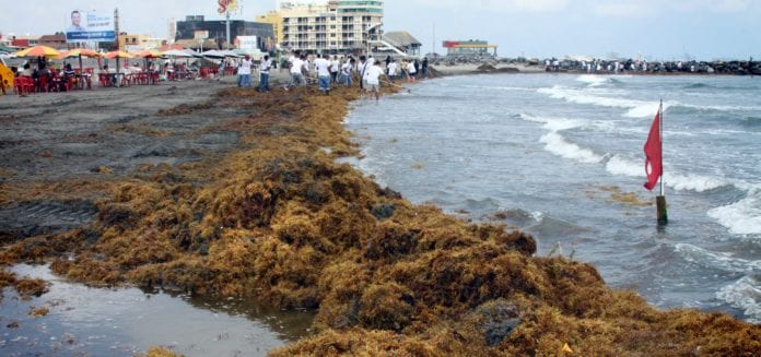 Veracruz y Oaxaca