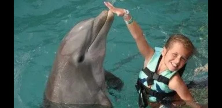 Delfines atacan a una niña en Cancún