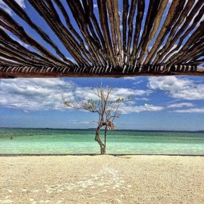 Laguna Nopalitos