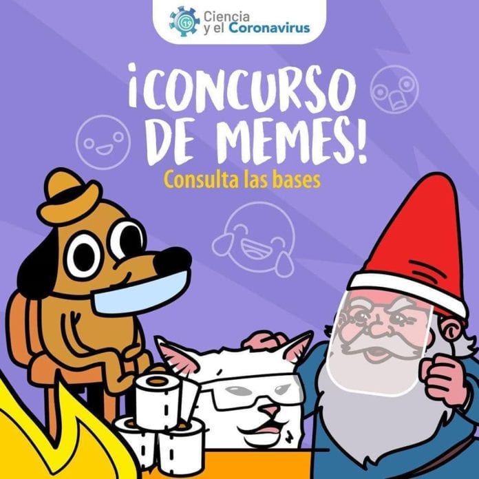 concurso de memes