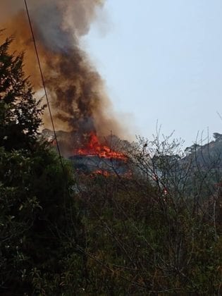 Incendio en Tepoztlán, Morelos