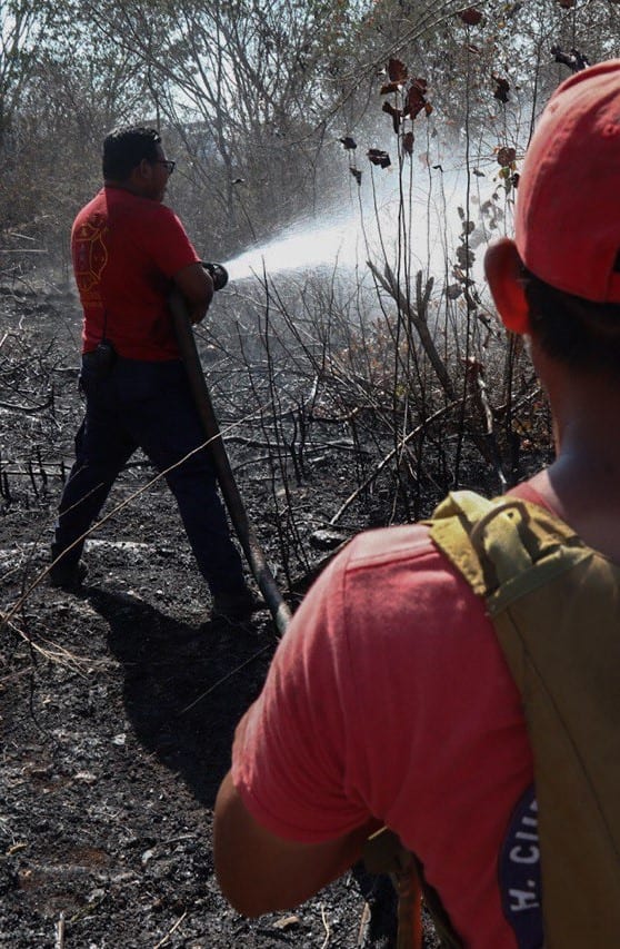 Incendios en Puerto Morelos