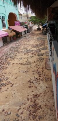 Remodelación de la Quinta Avenida