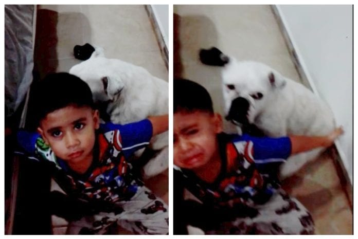 Niño protege a su perrito