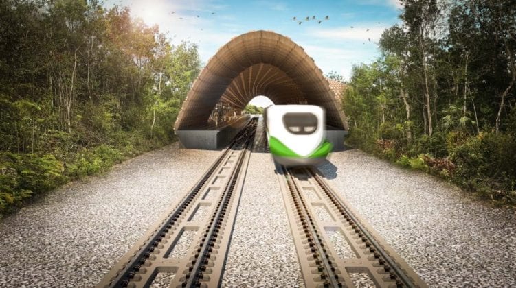 Alertan sobre daños que podría causar al ambiente el Tren Maya