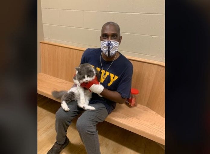 Se reencuentra con su gatita en un refugio para mascotas
