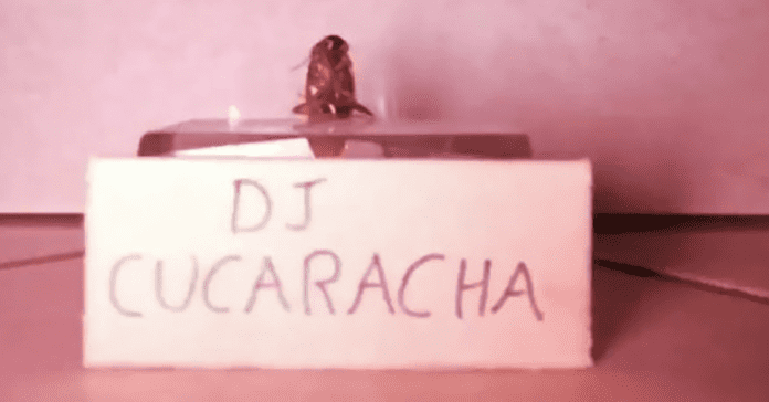 Dj Cucaracha