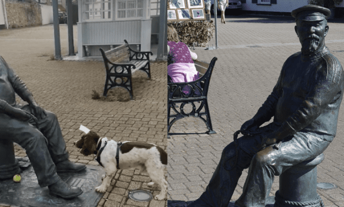 Perrito intenta jugar con una estatua