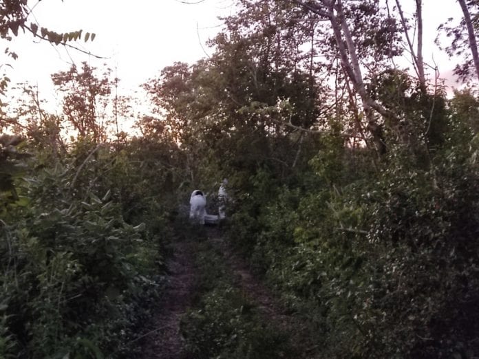 El cuerpo de un hombre en avanzado estado descomposición fue localizado esta tarde en un camino de terracería a unos cuatro kilómetros del libramiento de la autopista que dirige a Mérida.