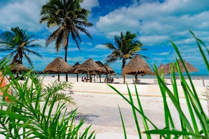 La costa yucateca invita a disfrutar variadas actividades ecoturísticas La costa yucateca invita a disfrutar variadas actividades ecoturísticas