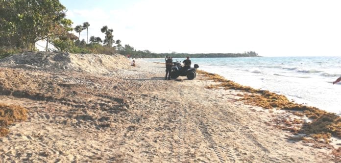 Muere ahogada joven nadadora en Playa del Carmen Muere ahogada joven nadadora en Playa del Carmen