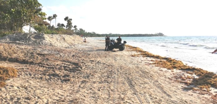 Muere ahogada joven nadadora en Playa del Carmen