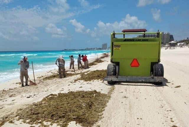 Cancún: llegada masiva de sargazo será entre mayo y agosto