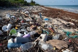 Fotogalería: Comienza la llegada masiva de sargazo a Quintana Roo