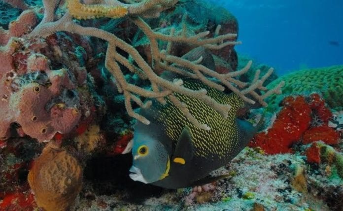 Turismo de naturaleza hay que promocionarlo