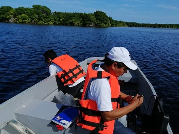 Analizarán si el agua de la Laguna Manatí de Cancún es apta para contacto humano, pues podría causar problemas en la piel