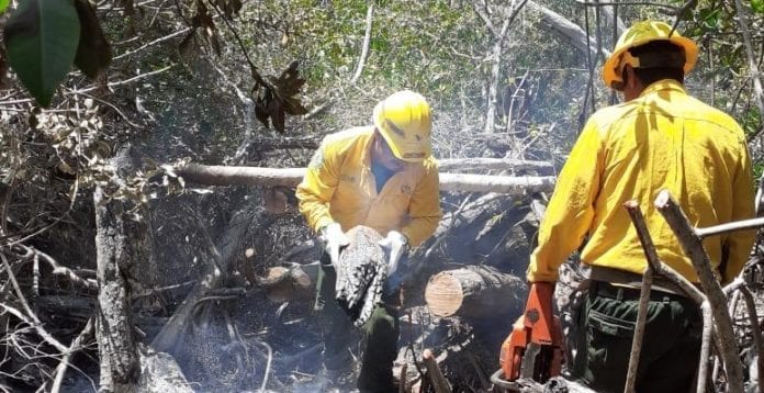 Consume 30 hectáreas incendio en Chetumal