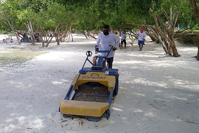 Redoblan tareas de limpieza a lo largo de cuatro kilómetros de costa en Playa del Carmen