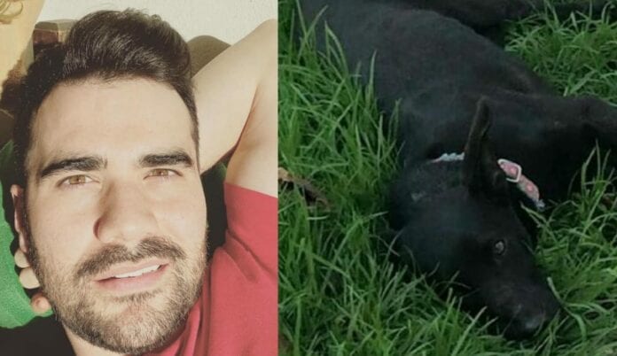 Activista recuerda cuando actor Germán Valdés abandonó a perrita rescatada en azotea