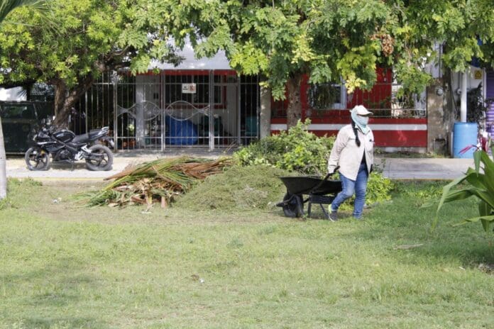 EMBELLECE GOBIERNO DE PUERTO MORELOS LOS ESPACIOS PÚBLICOS DEL MUNICIPIO