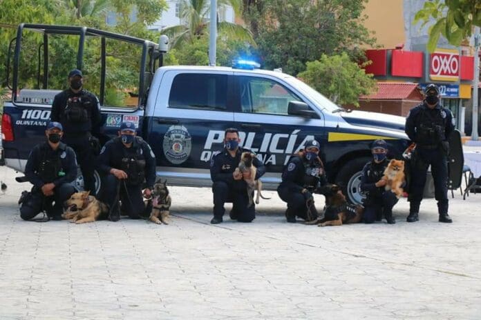 Quintana Roo avanza en la recuperación de la paz y la tranquilidad, con modelo de seguridad