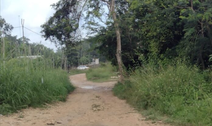 300 familias viven en abandono en colonia irregular de Felipe Carrillo Puerto